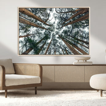 18790-MGV-FC-36X24_Natural-Pine Canopy Wall Art – Panoramic View of Towering Pines Canvas Print, Nature-Inspired Decor for Office, Cabin or Living Room