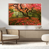 73343-MGV-CV-36X24-Autumn Maple Wall Art – Panoramic Vibrant Red Maple Tree Canvas Print, Seasonal Nature Decor for Office, Living Room or Garden