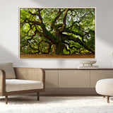 29407-MGV-FC-36X24_Natural-Ancient Oak Tree Wall Art – Majestic Nature Canvas Print, Large Tree Photography Decor for Living Room or Office