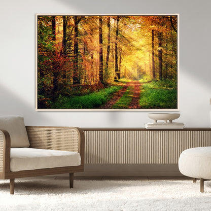 73494-MGV-CV-36X24-Golden Autumn Forest Path Wall Art – Sunlit Woodland Canvas Print, Fall Nature Landscape Home Decoration