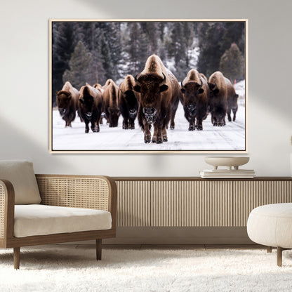 66871-MGV-CV-36X24-Bison Herd Wall Art – Wildlife Buffalo Canvas Print, Rustic Western Nature Photography Decor for Living Room, Office, Cabin, or