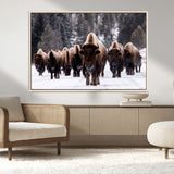 66871-MGV-CV-36X24-Bison Herd Wall Art – Wildlife Buffalo Canvas Print, Rustic Western Nature Photography Decor for Living Room, Office, Cabin, or