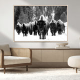 62434-MGV-CV-36X24-Bison Herd Wall Art – Majestic Black and White Buffalo Canvas Print, Wildlife Nature Photography Decor for Living Room, Office or