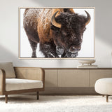 65605-MGV-CV-36X24-Snow Bison Wall Art – Close Up Buffalo Canvas Print, Rustic Western Wildlife Photography, Farmhouse Cabin Lodge Decor for Living