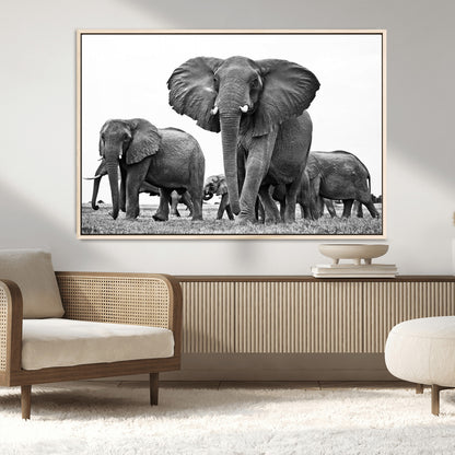 91685-MGV-CV-36X24-Elephant Herd Wall Art – Black and White Safari Canvas Print, African Wildlife Photography Decor for Living Room, Office or