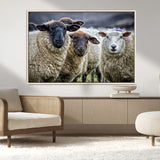 18418-MGV-CV-36X24-Sheep Wall Art Canvas Print, Framed Farmhouse Sheep Art Picture Print, Sheep Herd Perfect Rustic Farmhouse Decor Artwork
