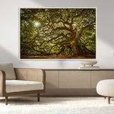 57983-MGV-CV-36X24-Angel Oak Tree Wall Art Canvas Print, Framed Oak Tree Art Picture Print, Angel Oak Perfect Rustic Nature Decor Artwork