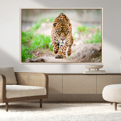 75066-MGV-CV-36X24-Leopard Wall Art Canvas Print, Framed Wild Animal Art Picture Print, Blue Eye Leopard Perfect Wild Minimal Decor Artwork