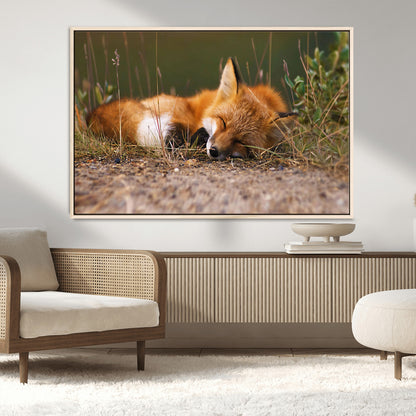 25085-MGV-CV-36X24-Sleeping Fox Wall Art Canvas Print, Framed Rustic Fox Art Picture Print, Wildlife Animal Perfect Rustic Farmhouse Decor Artwork