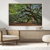 MGV-FC-36X24 - Historic Tree Wall Art Canvas Print, Framed Mossy Tree Art Picture Print, Twisted Branches Perfect Nature Southern Decor Artwork
