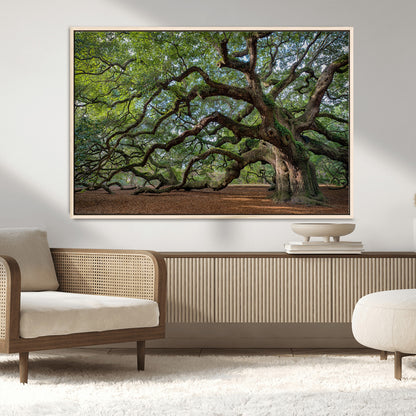 MGV-FC-36X24 - Historic Tree Wall Art Canvas Print, Framed Mossy Tree Art Picture Print, Twisted Branches Perfect Nature Southern Decor Artwork