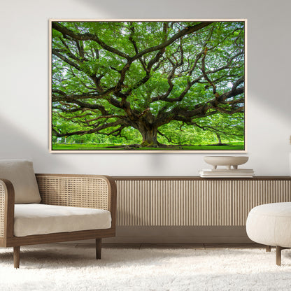 49375306-MGV-CV-36X24-Ancient Tree Wall Art Canvas Print, Framed Sprawling Branches Art Picture Print, Gnarling Tree Perfect Earthy Natural Decor