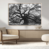 81655611-MGV-CV-36X24-Ancient Oak Wall Art Canvas Print, Framed Twisted Branches Art Picture Print, Gnarled Tree Perfect Moody Nature Decor Artwork