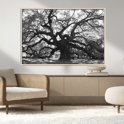 81655611-MGV-CV-36X24-Ancient Oak Wall Art Canvas Print, Framed Twisted Branches Art Picture Print, Gnarled Tree Perfect Moody Nature Decor Artwork