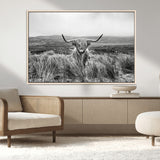 24051061-MGV-CV-36X24-Monochrome Highland Cow Wall Art Canvas Print, Framed Scottish Bull Art Picture Print, Lone Cattle Perfect Rustic Farmhouse Decor