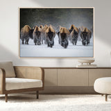 41669135-MGV-CV-36X24-Bison Herd Scene Wall Art Canvas Print, Framed Rustic Wildlife Decor Art Picture Print, Snowy Bison Landscape Perfect Rustic