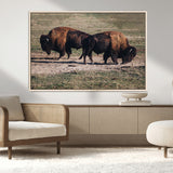 58141885-MGV-CV-36X24-Bison Photography Wall Art Canvas Print, Framed Western Wildlife Art Picture Print, Modern Ranch Perfect Western Rustic Decor
