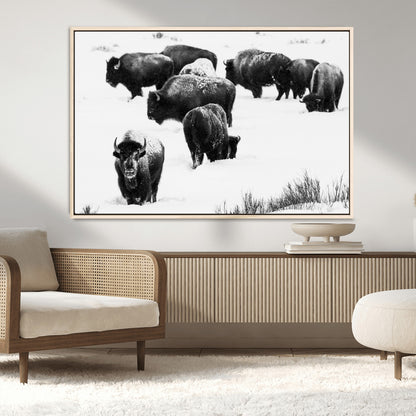 18914414-MGV-CV-36X24-Buffalo Herd Wall Art Canvas Print, Framed Black and White Art Picture Print, Snowy Landscape Perfect Rustic Lodge Decor Decor