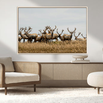 42170220-MGV-CV-36X24-Elk Herd Wall Art Canvas Print, Framed Wildlife Photography Art Picture Print, Majestic Antlers Perfect Rustic Wildlife Decor