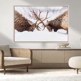 99240306-MGV-FC-36X24_Natural-Elk Wall Art – Two Bull Elk Fighting in Snow Canvas Print, Rustic Wildlife Artwork for Cabin, Lodge, Western Farmhouse, Nature &