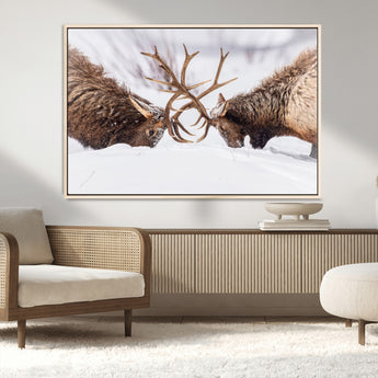 99240306-MGV-FC-36X24_Natural-Elk Wall Art – Two Bull Elk Fighting in Snow Canvas Print, Rustic Wildlife Artwork for Cabin, Lodge, Western Farmhouse, Nature &
