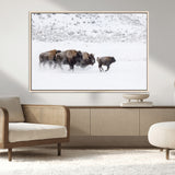 61161423-MGV-CV-36X24-Running Bison Herd Wall Art – Winter Buffalo Canvas Print, Wildlife Photography Decor for Rustic Living Room, Farmhouse, Lodge,