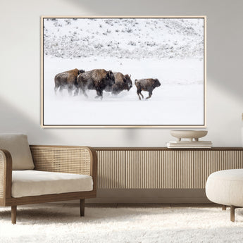 61161423-MGV-CV-36X24-Running Bison Herd Wall Art – Winter Buffalo Canvas Print, Wildlife Photography Decor for Rustic Living Room, Farmhouse, Lodge,