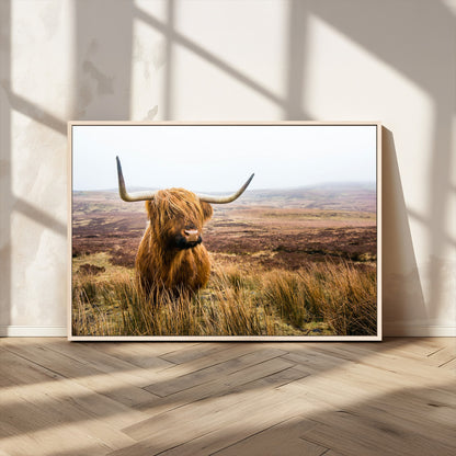 79391-MGV-CV-36X24-Majestic Highland Cow in Misty Scottish Moorland – Rustic Natural Charm, Perfect for Unique Home or Office Decor