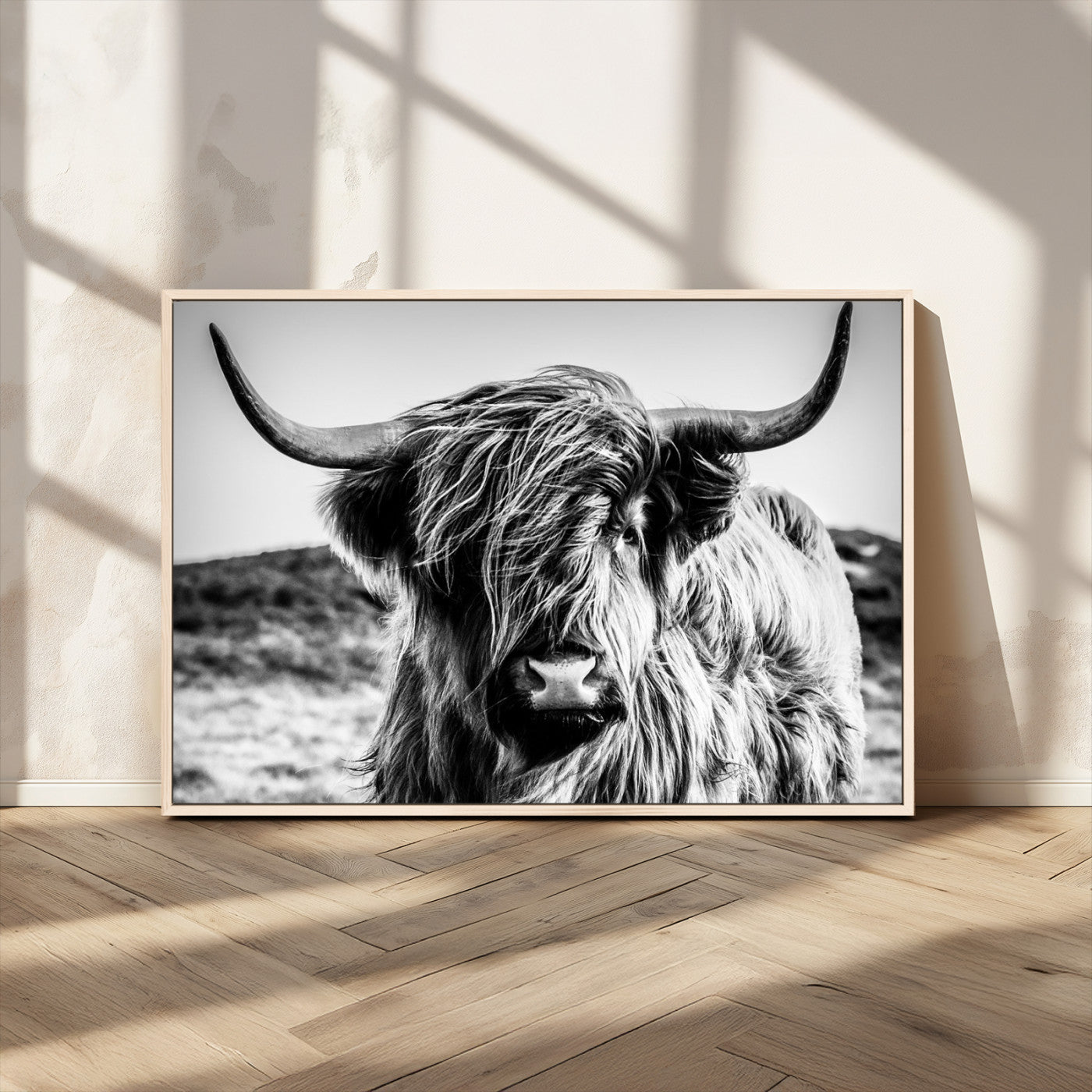 36979-MGV-CV-36X24-Striking black-and-white portrait of a Highland cow with flowing fur and majestic horns, perfect for rustic and elegant home or