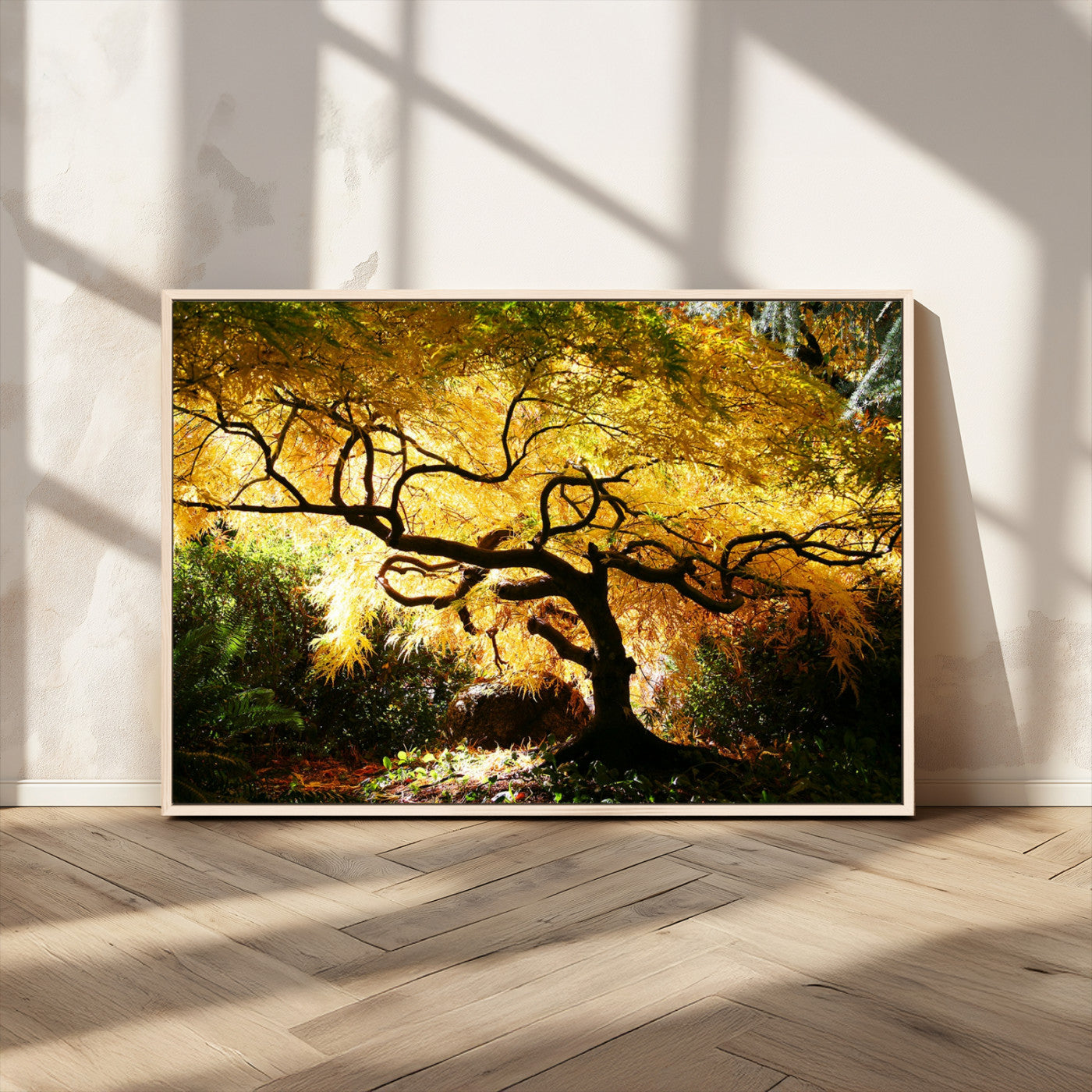 19067-MGV-FC-36X24_Natural-Golden Canopy Wall Art – Panoramic Autumn Tree Canvas Print, Warm Seasonal Decor for Living Room, Office or Garden Space