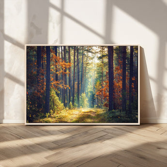 86249-MGV-CV-36X24-Sunlit Autumn Forest Path Wall Art – Peaceful Nature Scene with Fall Foliage, Calming Woods Decor for Home or Office