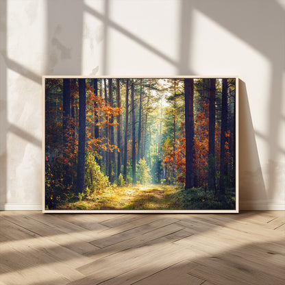 86249-MGV-CV-36X24-Sunlit Autumn Forest Path Wall Art – Peaceful Nature Scene with Fall Foliage, Calming Woods Decor for Home or Office