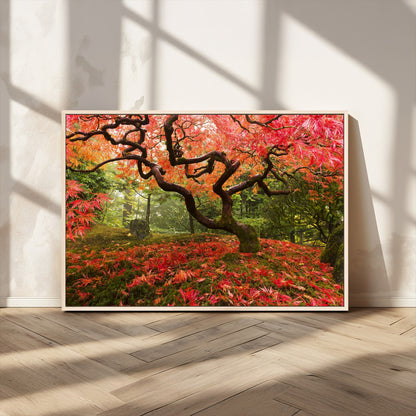 73343-MGV-CV-36X24-Autumn Maple Wall Art – Panoramic Vibrant Red Maple Tree Canvas Print, Seasonal Nature Decor for Office, Living Room or Garden
