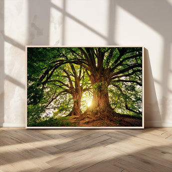 52150-MGV-CV-36X24-Majestic Tree Wall Art – Large Nature Canvas Print with Sunlight Through Branches, Rustic Forest Decor for Living Room, Bedroom or