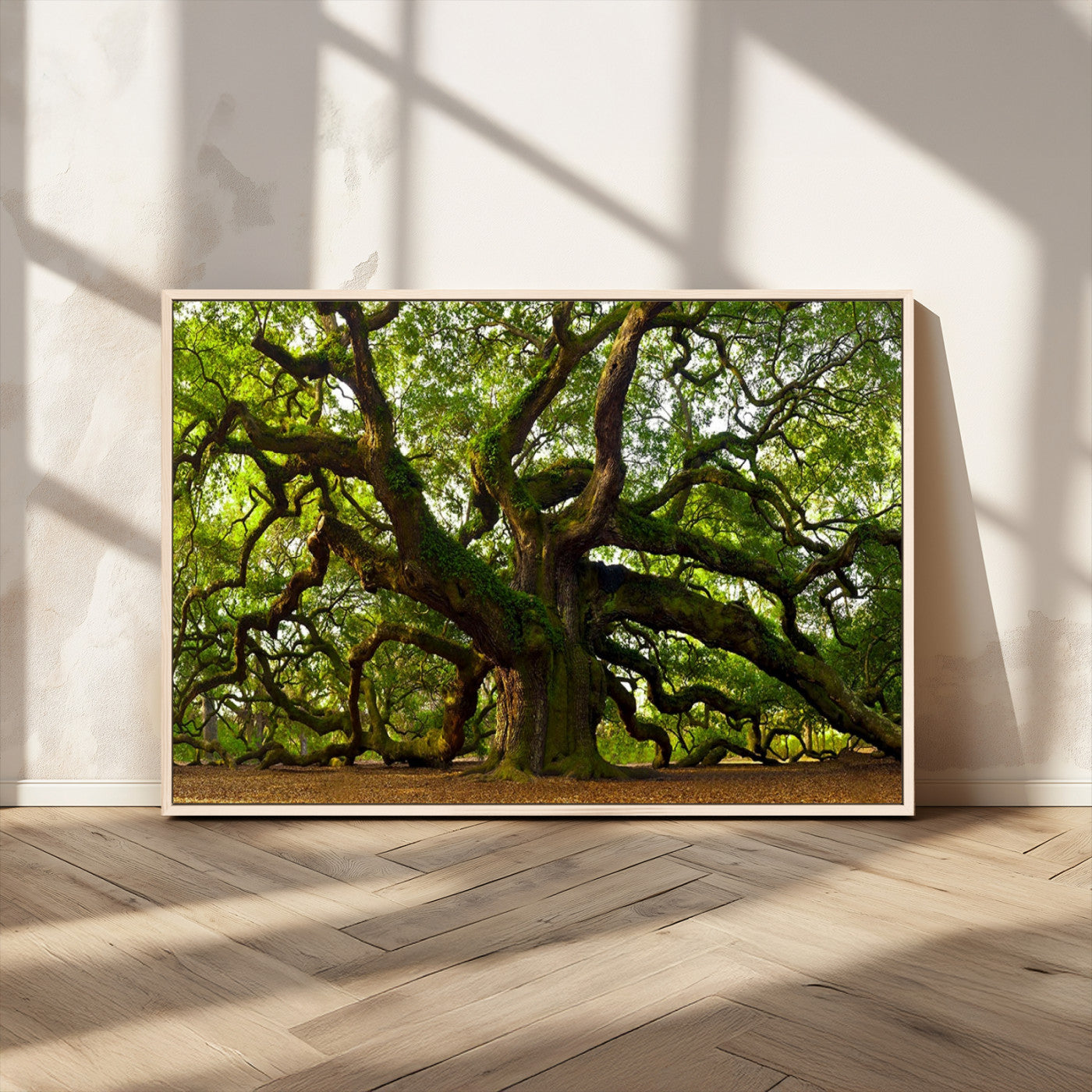 29407-MGV-CV-36X24-Ancient Oak Tree Wall Art – Majestic Nature Canvas Print, Large Tree Photography Decor for Living Room
