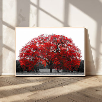 80021-MGV-CV-36X24-Red Tree Wall Art – Striking Black and White Landscape Canvas Print with Vibrant Red Leaves, Modern Nature Decor for Living Room