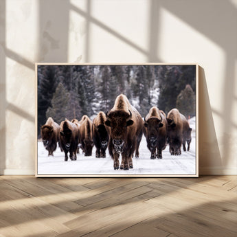 66871-MGV-CV-36X24-Bison Herd Wall Art – Wildlife Buffalo Canvas Print, Rustic Western Nature Photography Decor for Living Room, Office, Cabin, or