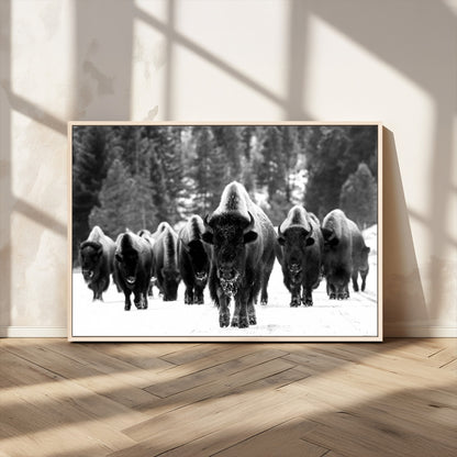 62434-MGV-CV-36X24-Bison Herd Wall Art – Majestic Black and White Buffalo Canvas Print, Wildlife Nature Photography Decor for Living Room, Office or