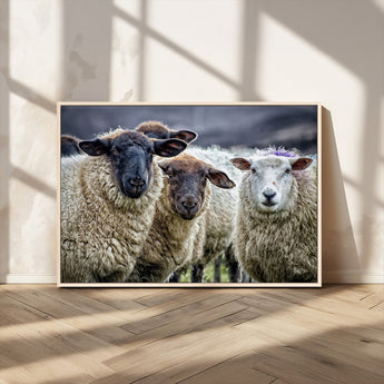18418-MGV-CV-36X24-Sheep Wall Art Canvas Print, Framed Farmhouse Sheep Art Picture Print, Sheep Herd Perfect Rustic Farmhouse Decor Artwork