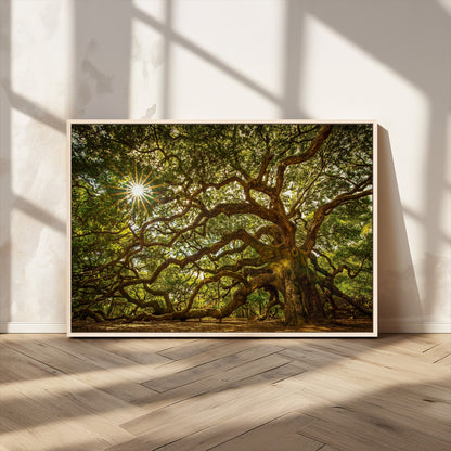 57983-MGV-CV-36X24-Angel Oak Tree Wall Art Canvas Print, Framed Oak Tree Art Picture Print, Angel Oak Perfect Rustic Nature Decor Artwork