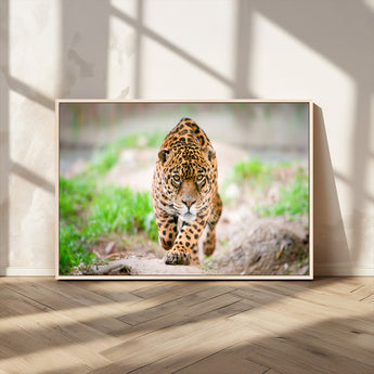 75066-MGV-CV-36X24-Leopard Wall Art Canvas Print, Framed Wild Animal Art Picture Print, Blue Eye Leopard Perfect Wild Minimal Decor Artwork
