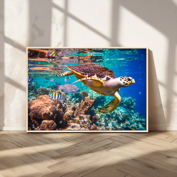 66614-MGV-CV-36X24-Sea Turtle Wall Art – Hawksbill Turtle Swimming Over Coral Reef Canvas Print, Ocean Marine Life Decor for Beach House, Coastal