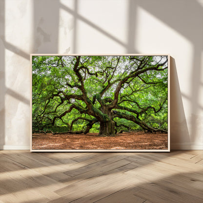 51255351-MGV-CV-36X24-Ancient Tree Wall Art – Majestic Oak Canvas Print, Large Nature Photography, Sacred Forest Landscape Wall Décor, Wisdom Tree