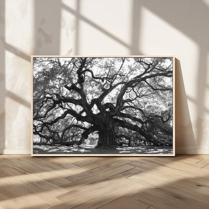 81655611-MGV-CV-36X24-Ancient Oak Wall Art Canvas Print, Framed Twisted Branches Art Picture Print, Gnarled Tree Perfect Moody Nature Decor Artwork