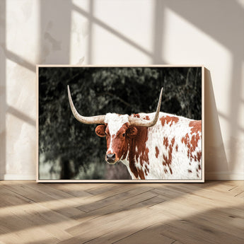 54027638-MGV-CV-36X24-Texas Longhorn Wall Art Canvas Print, Framed Spotted Cow Art Picture Print, Horned Bull Perfect Rustic Western Decor Artwork