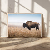 91267849-MGV-CV-36X24-Wild Bison Wall Art Canvas Print, Framed Bison in Prairie Art Picture Print, Rustic Western Perfect Rustic Western Decor Artwork