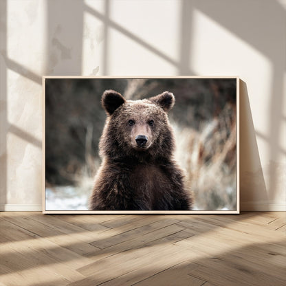 47112103-MGV-CV-36X24-Brown Bear Wall Art Canvas Print, Framed Forest Wildlife Art Picture Print, Woodland Bear Perfect Rustic Cabin Decor Artwork