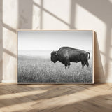 28435251-MGV-CV-36X24-Bison In Prairie Wall Art Canvas Print, Framed Rustic Wildlife Art Picture Print, Wild Buffalo Perfect Rustic Western Decor