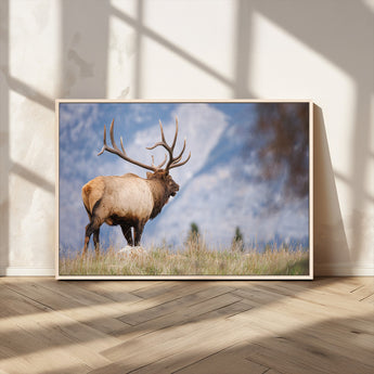 26365841-MGV-CV-36X24-Mountain Elk Art Wall Art Canvas Print, Framed Rustic Wildlife Print Art Picture Print, Lodge Style Decor Perfect Rustic Lodge