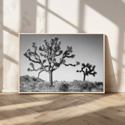 50975475-MGV-CV-36X24-Joshua Tree Art Wall Art Canvas Print, Framed Desert Tree Print Art Picture Print, Black White Nature Perfect Southwestern Boho